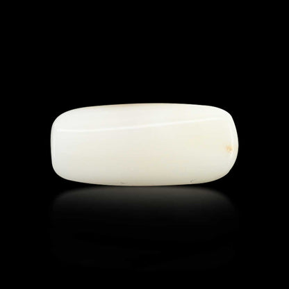 Japani White Coral 7.84 Carat