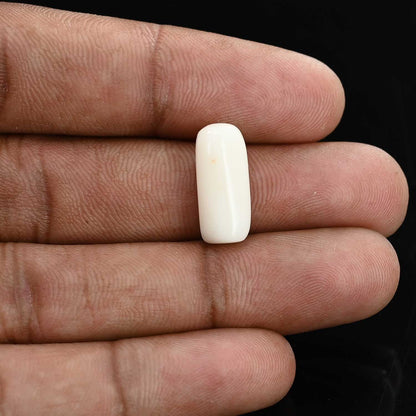 Japani White Coral 7.84 Carat