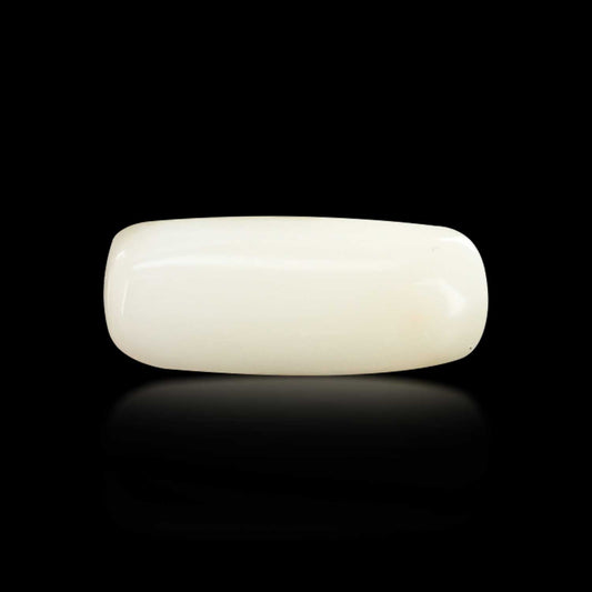 Japani White Coral 7.11 Carat