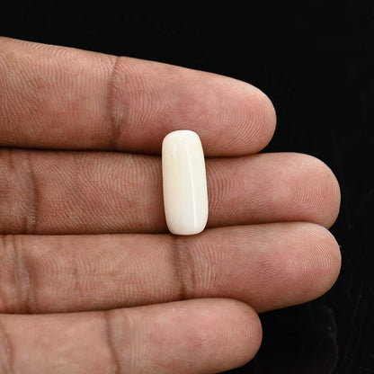 Japani White Coral 7.11 Carat