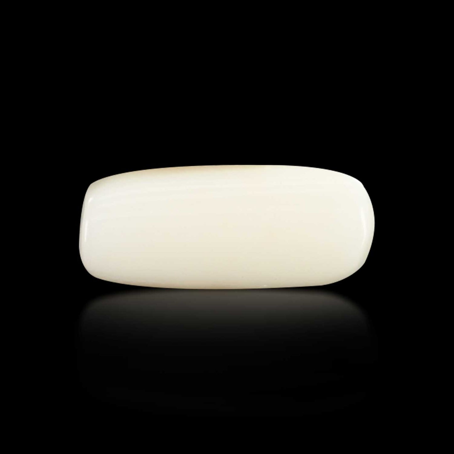 Japani White Coral 8.03 Carat