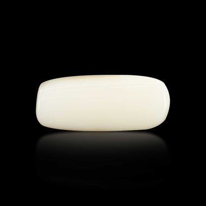 Japani White Coral 8.03 Carat