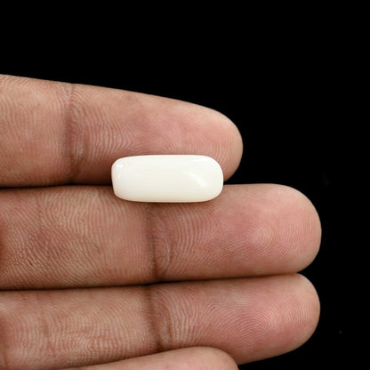 Japani White Coral 8.03 Carat