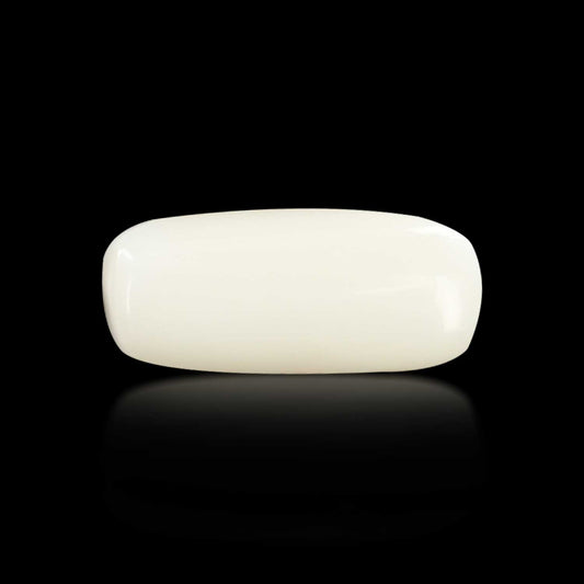 Japani White Coral 7.48 Carat