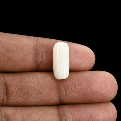 Japani White Coral 7.48 Carat
