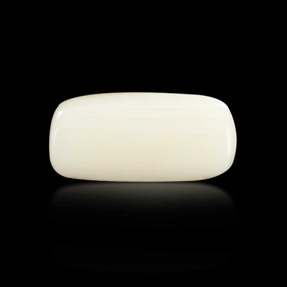 Japani White Coral 7.23 Carat