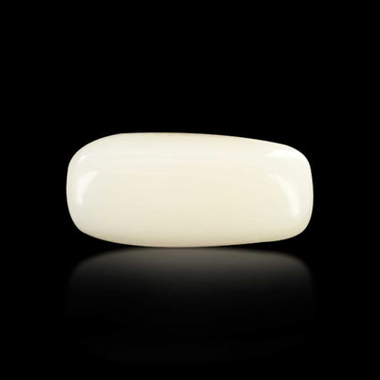 Japani White Coral 6.9 Carat