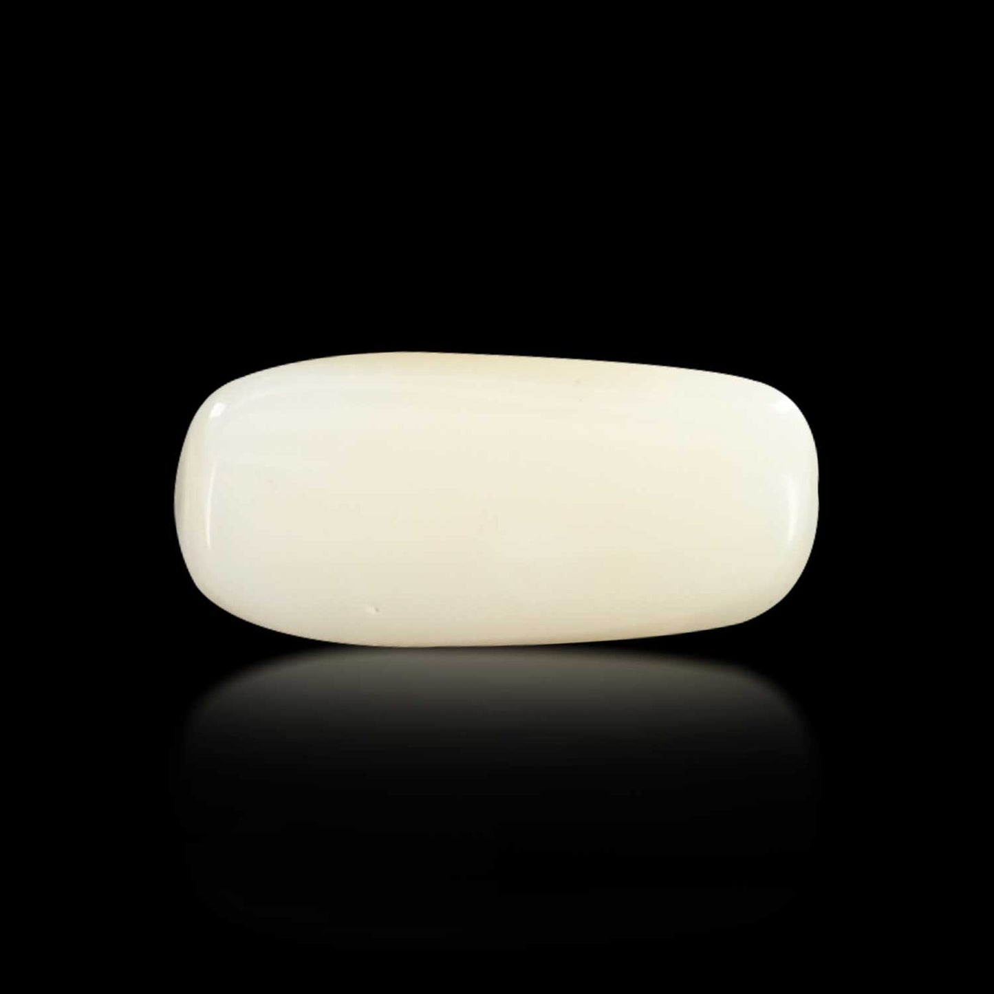 Japani White Coral 6.9 Carat