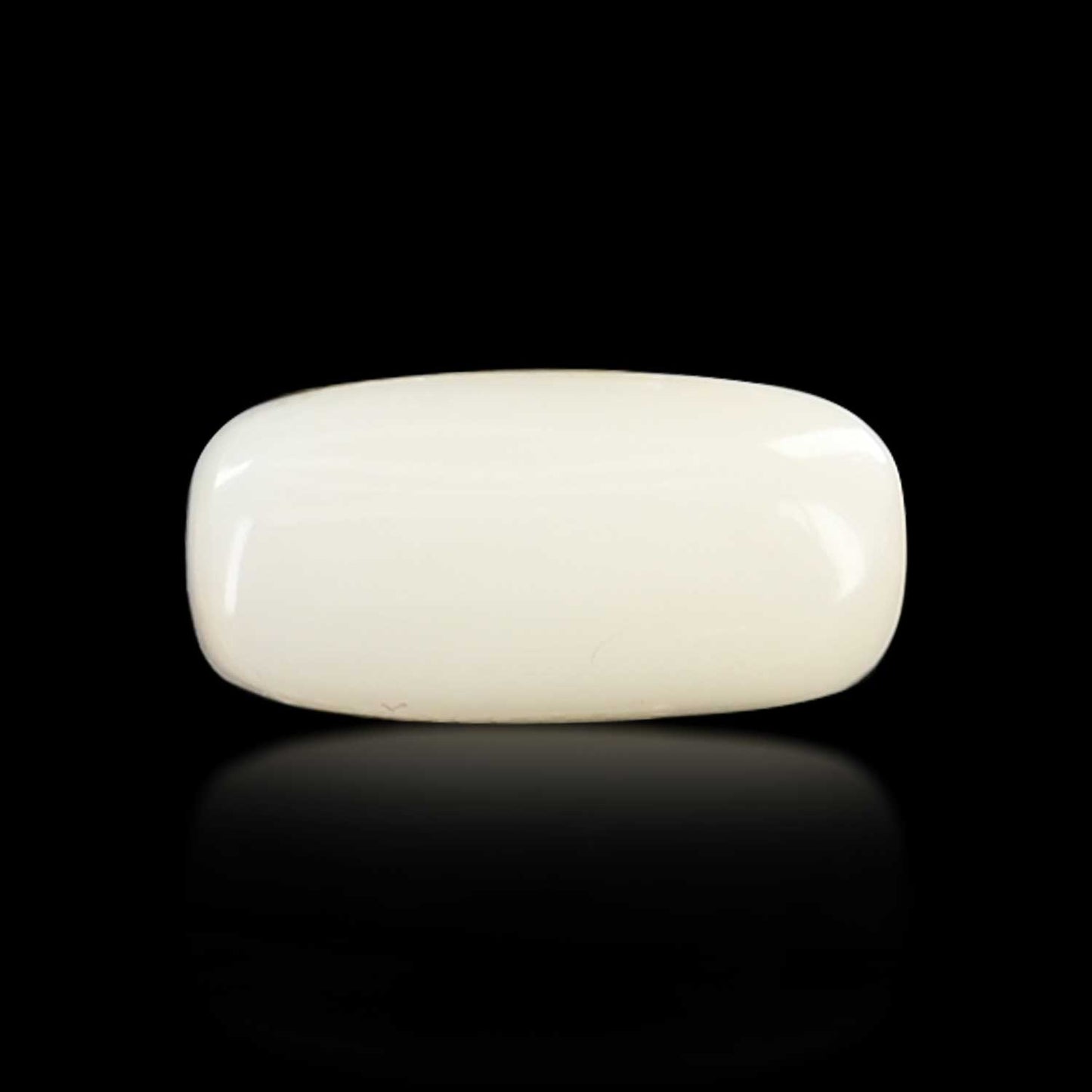 Japani White Coral 6.47 Carat