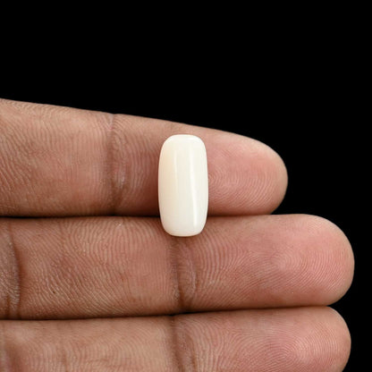 Japani White Coral 6.47 Carat