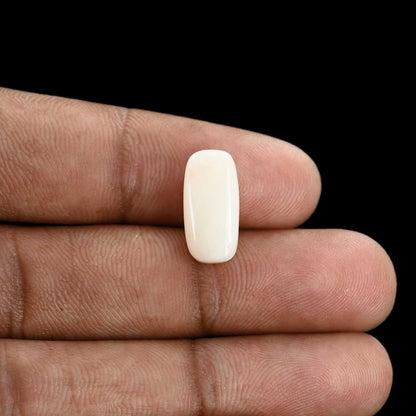 Japani White Coral 6.47 Carat