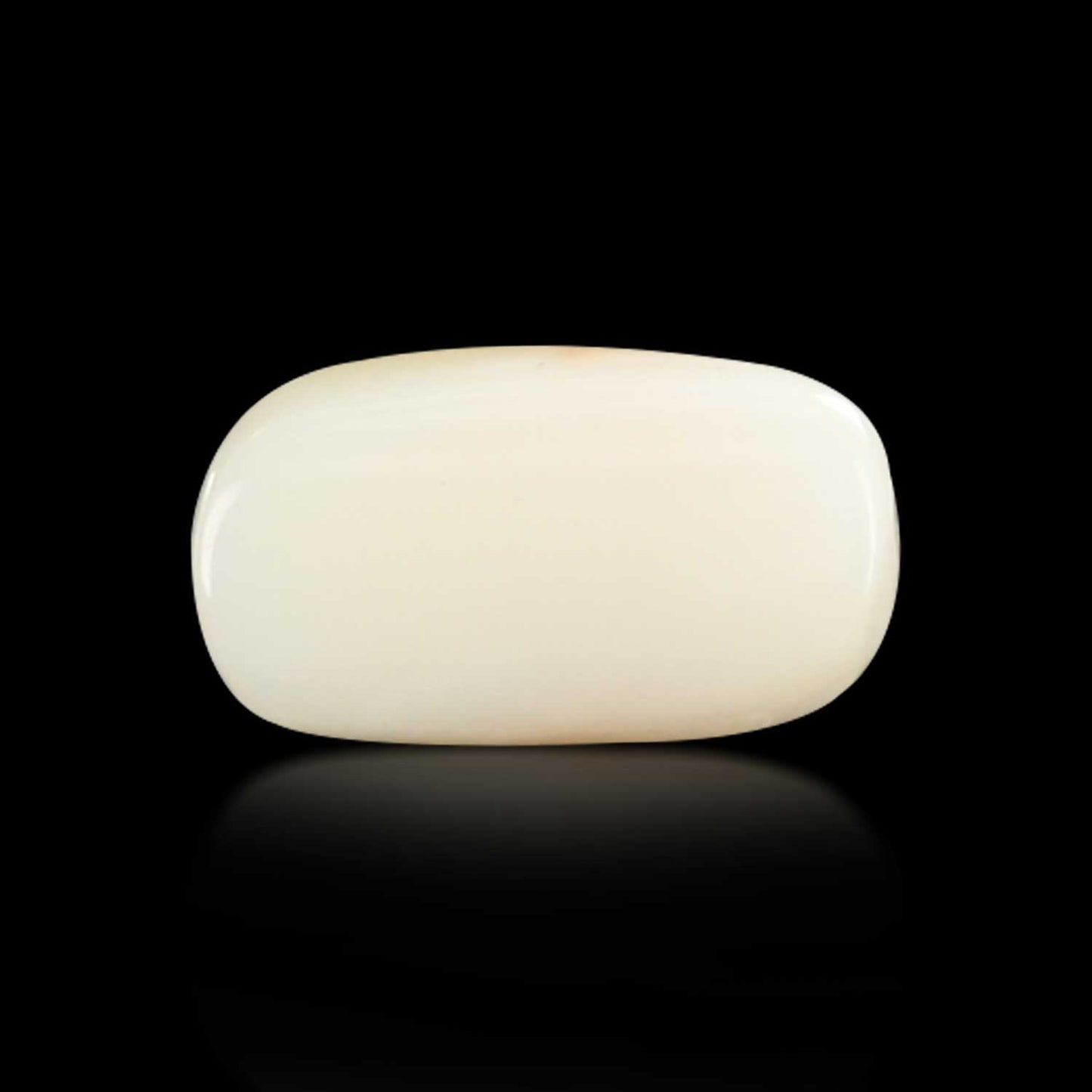 Japani White Coral 7.07 Carat