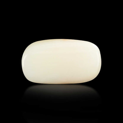 Japani White Coral 7.07 Carat