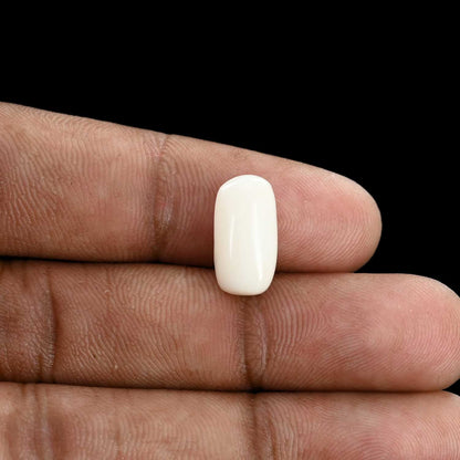 Japani White Coral 6.08 Carat
