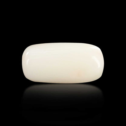 Japani White Coral 7.19 Carat