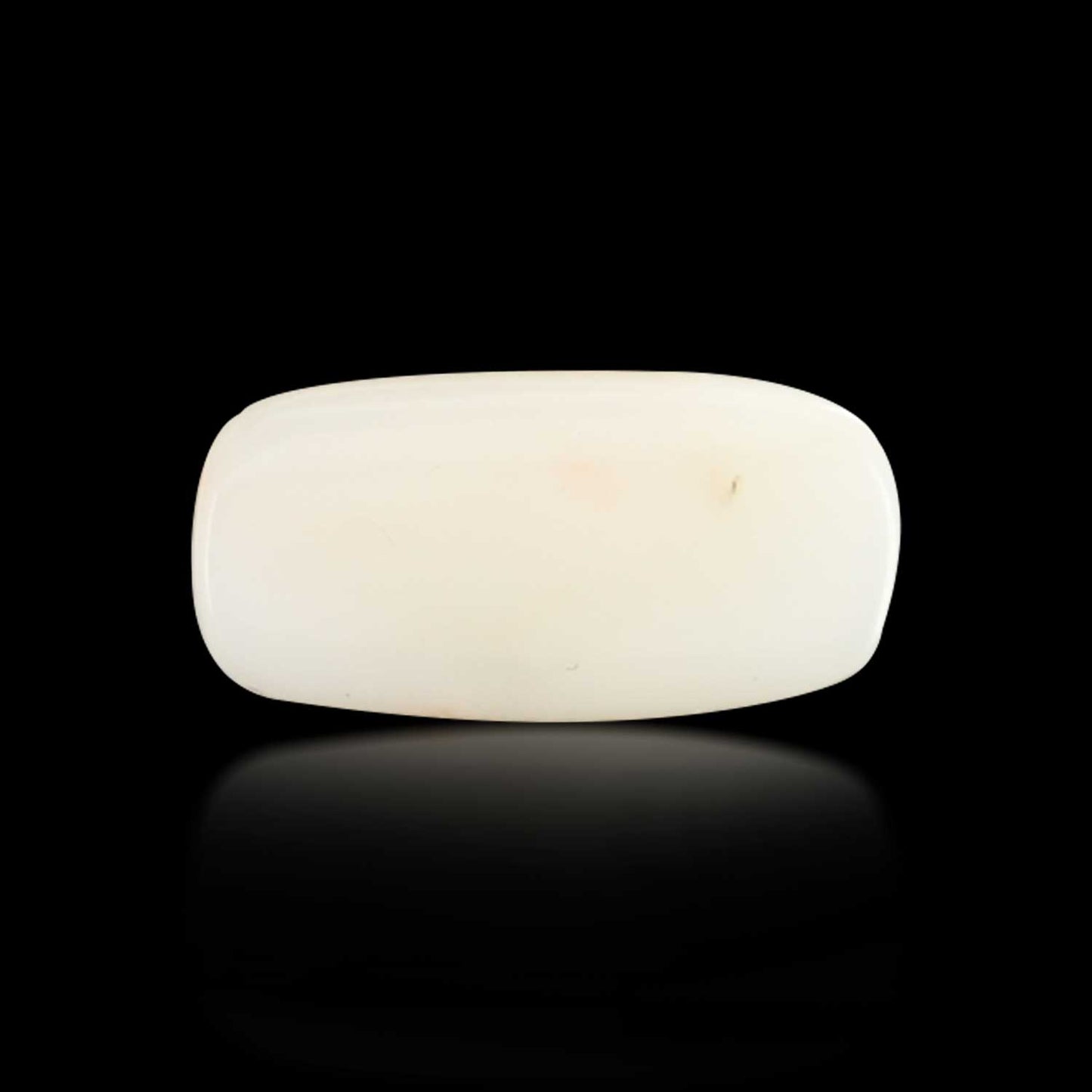 Japani White Coral 7.19 Carat