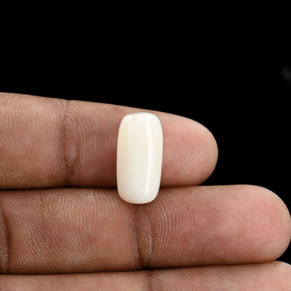 Japani White Coral 7.19 Carat