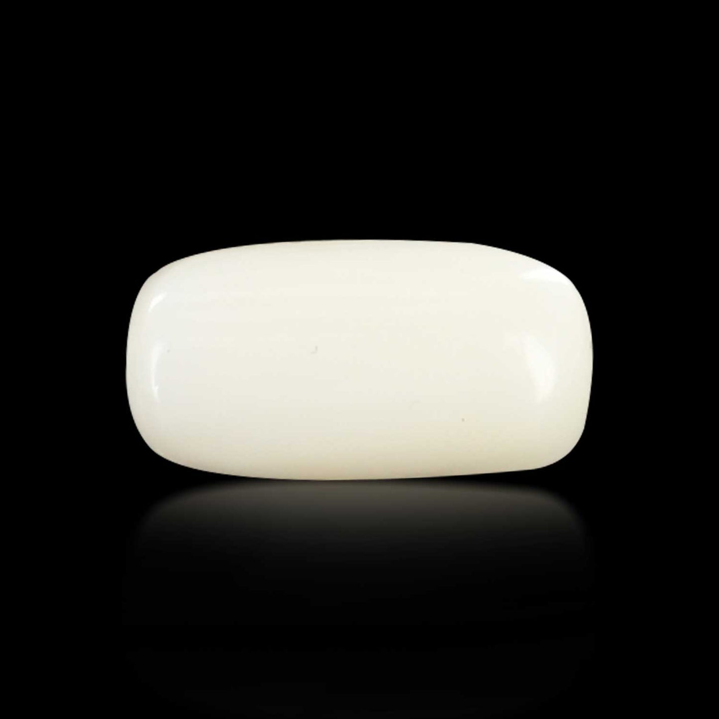 Japani White Coral 5.97 Carat