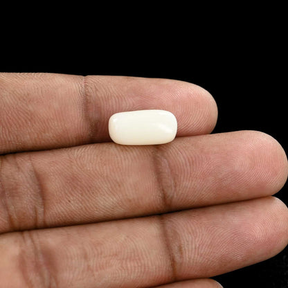 Japani White Coral 5.97 Carat