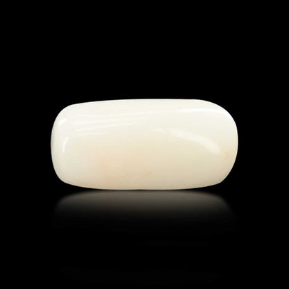 Japani White Coral 5.66 Carat