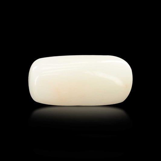 Japani White Coral 5.66 Carat