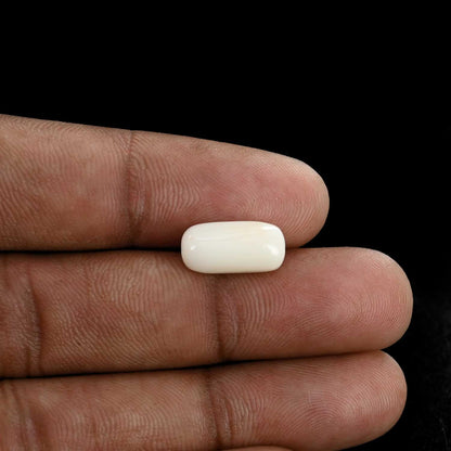 Japani White Coral 5.66 Carat