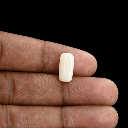 Japani White Coral 5.66 Carat