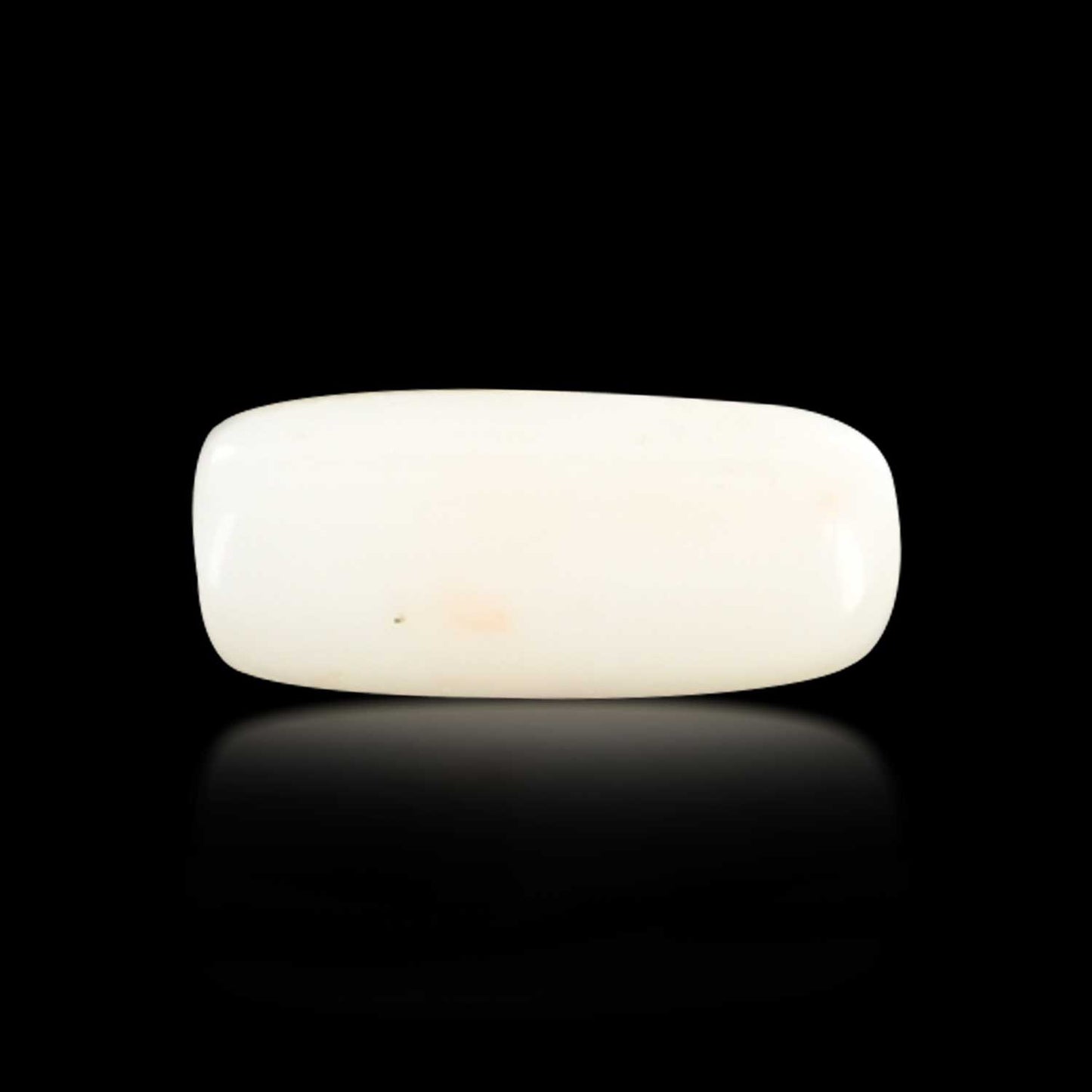 Japani White Coral 6.1 Carat
