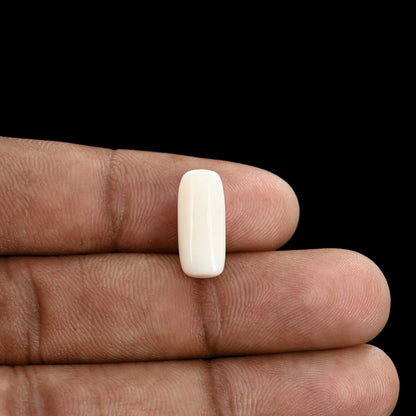 Japani White Coral 6.1 Carat