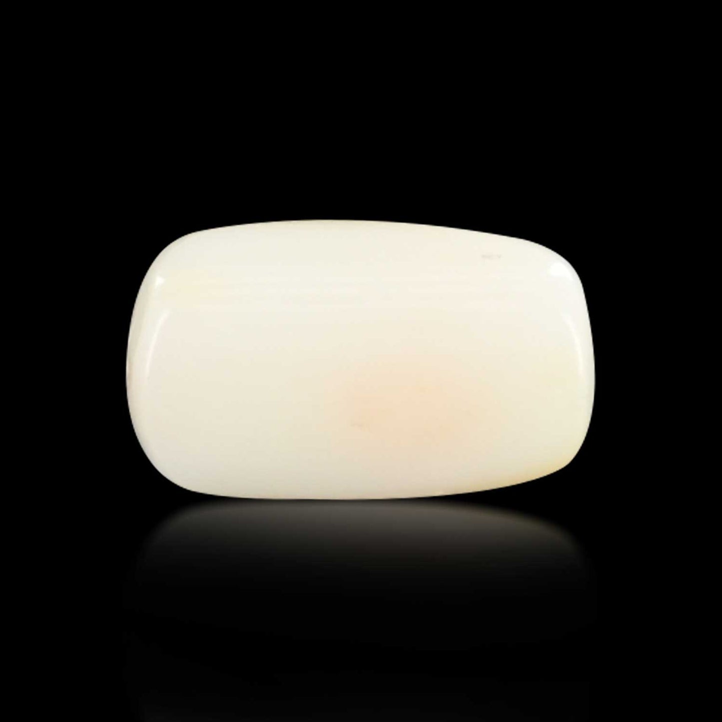 Japani White Coral 5.85 Carat