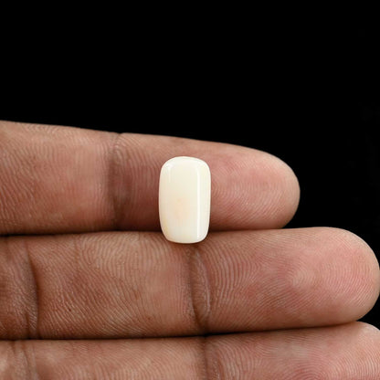 Japani White Coral 5.85 Carat