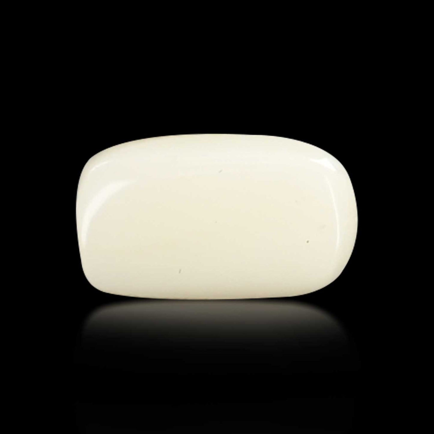 Japani White Coral 5.12 Carat