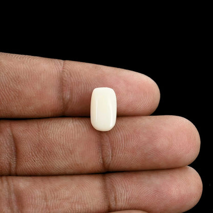 Japani White Coral 5.12 Carat
