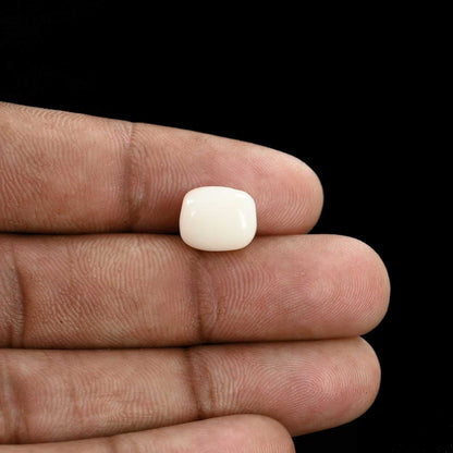 Japani White Coral 5.77 Carat