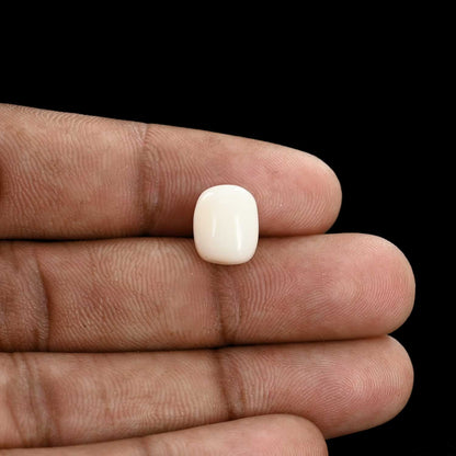 Japani White Coral 5.77 Carat