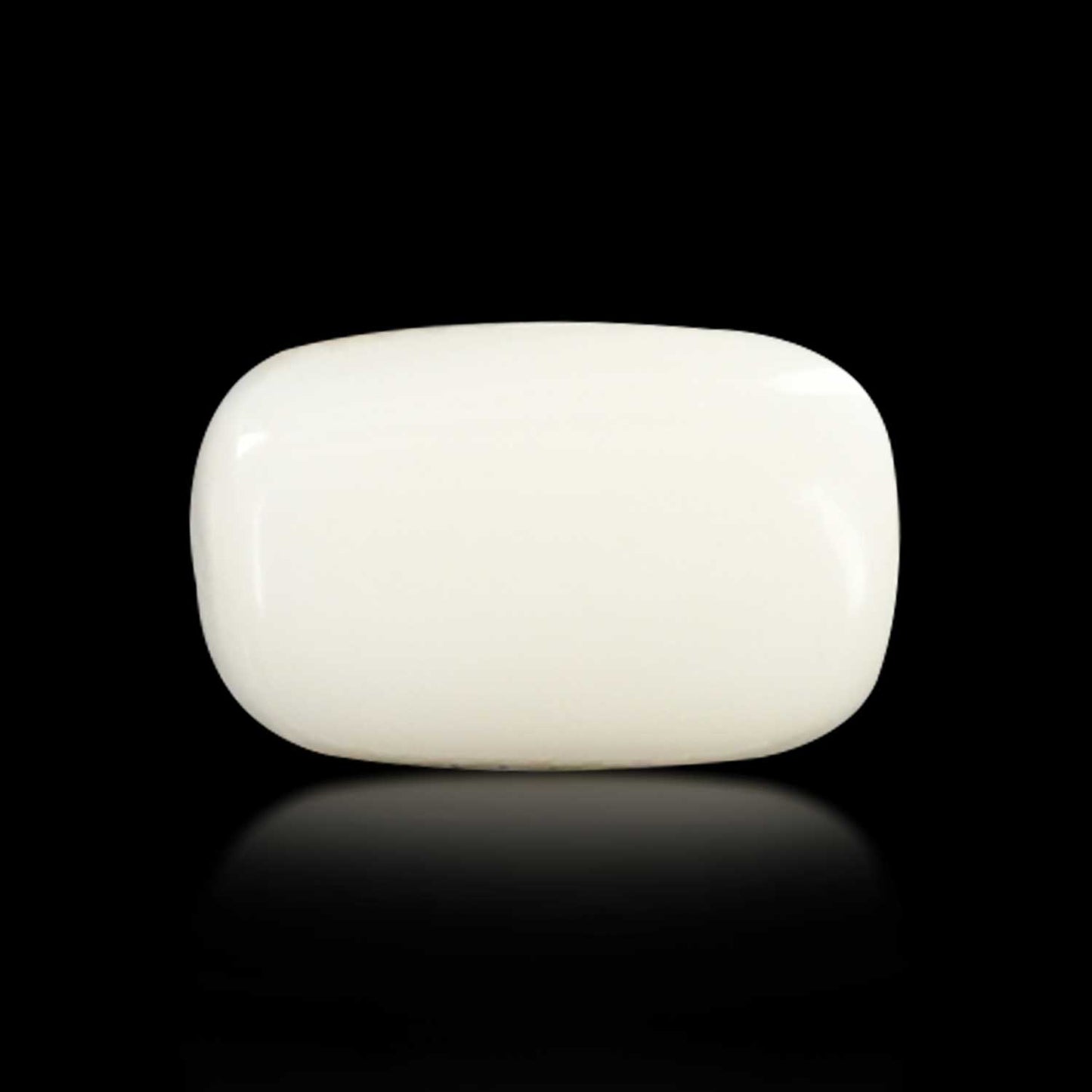 Japani White Coral 5.31 Carat