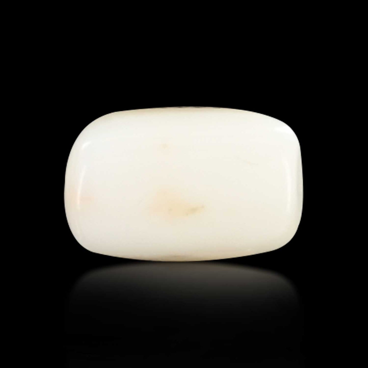 Japani White Coral 5.31 Carat