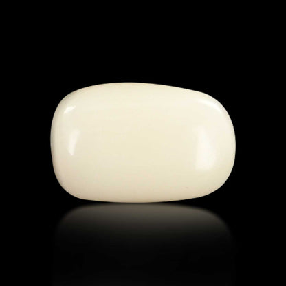 Japani White Coral 5.15 Carat
