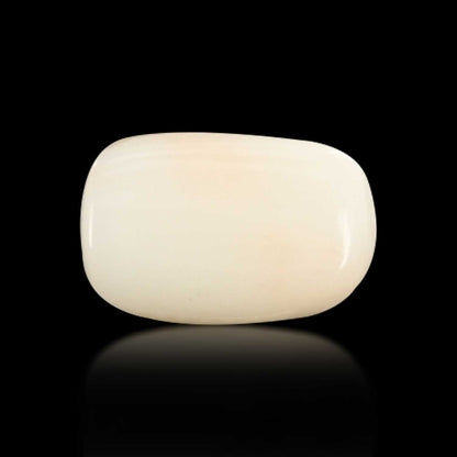 Japani White Coral 5.15 Carat