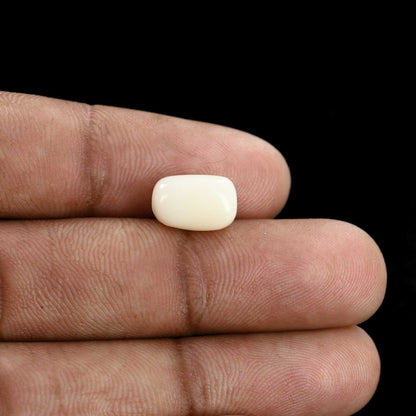 Japani White Coral 5.15 Carat