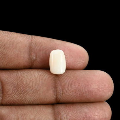 Japani White Coral 5.15 Carat