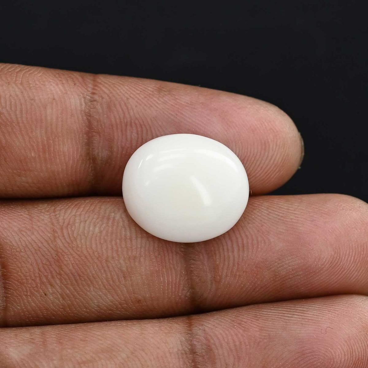 Japani White Coral 12.57 Carat
