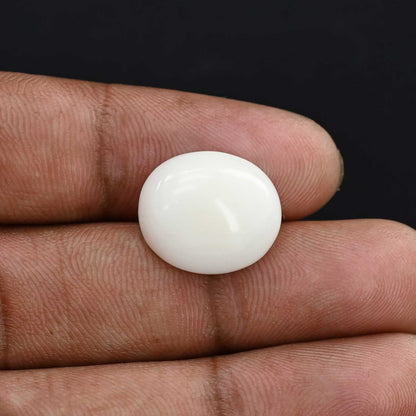 Japani White Coral 12.57 Carat