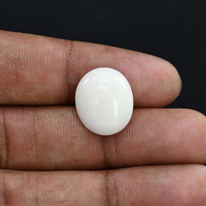 Japani White Coral 12.57 Carat