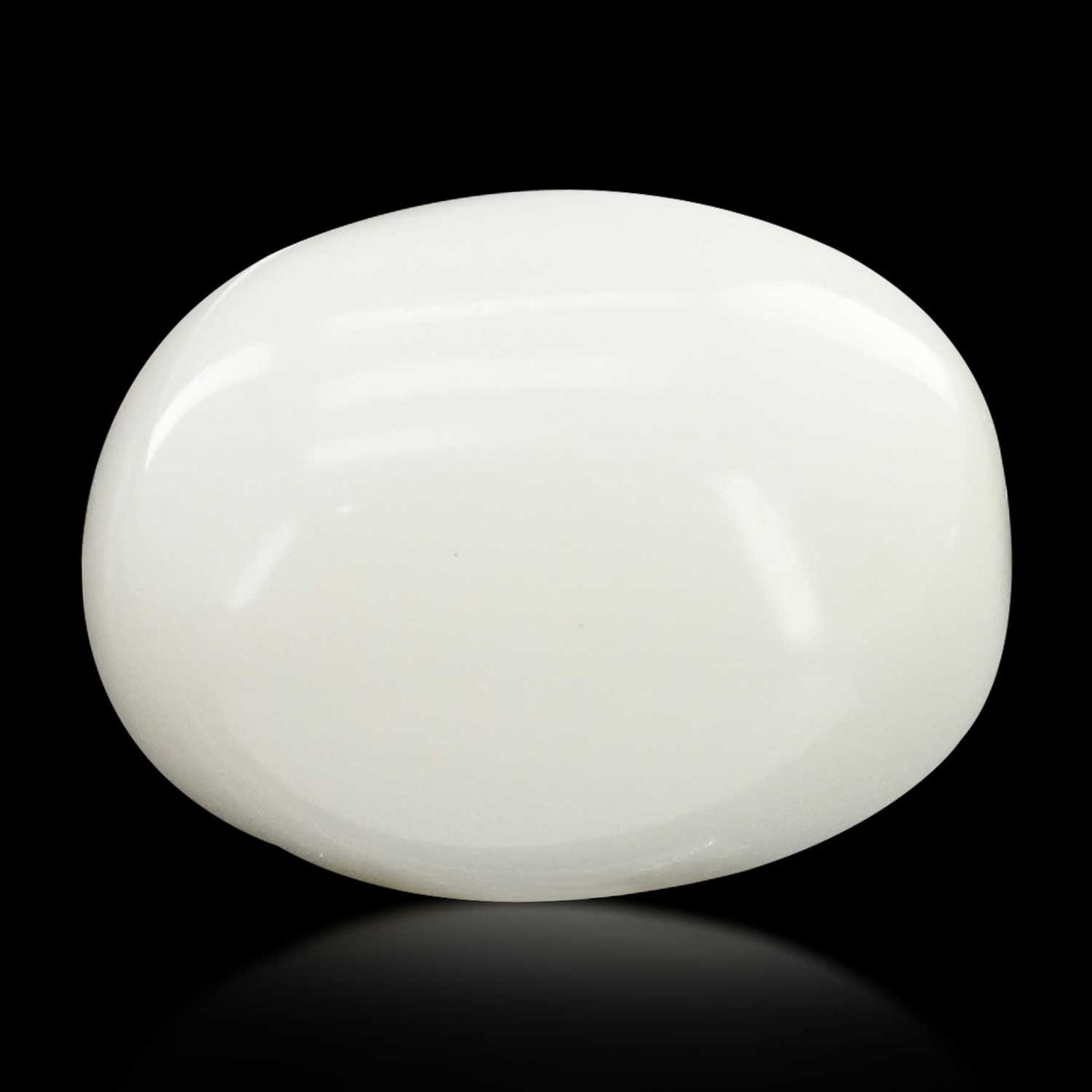 Japani White Coral 11.91 Carat
