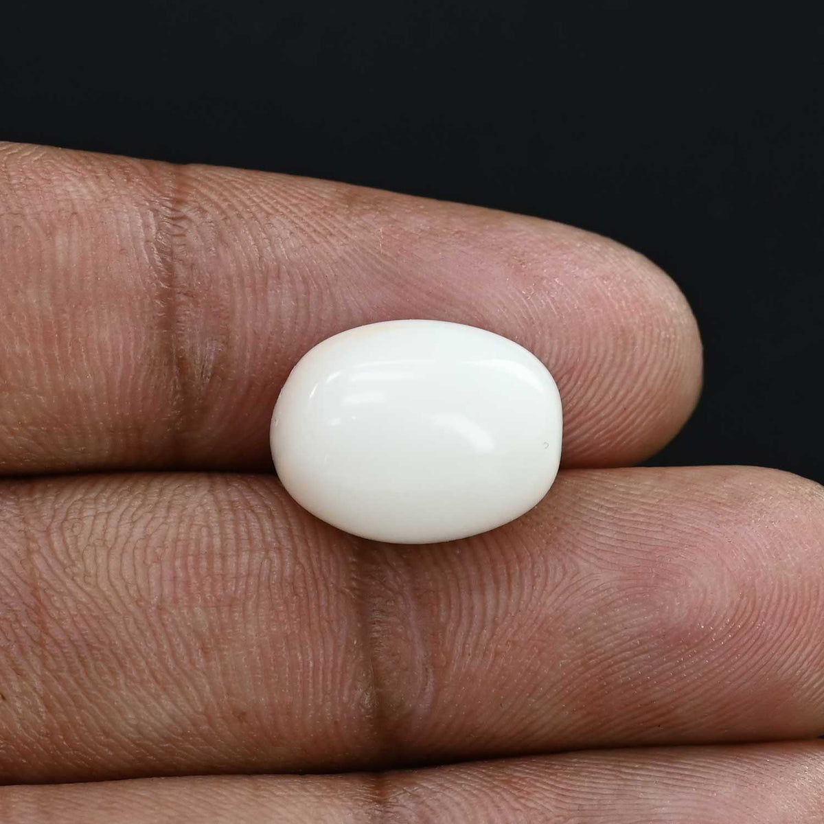 Japani White Coral 11.91 Carat
