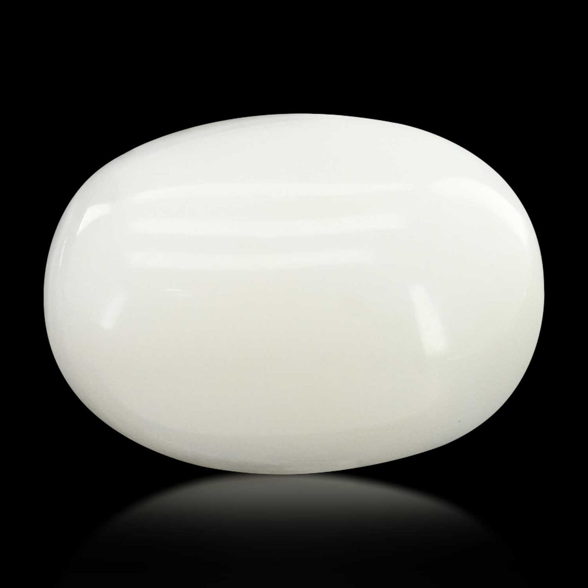 Japani White Coral 8.33 Carat