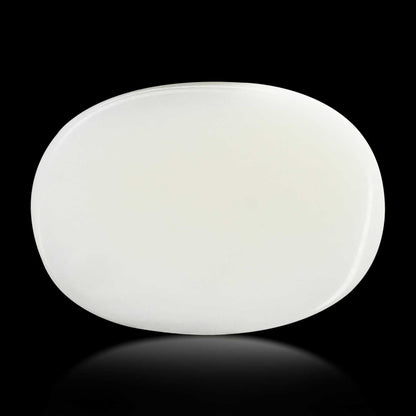Japani White Coral 8.33 Carat