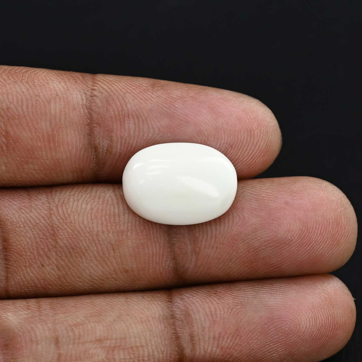 Japani White Coral 8.33 Carat