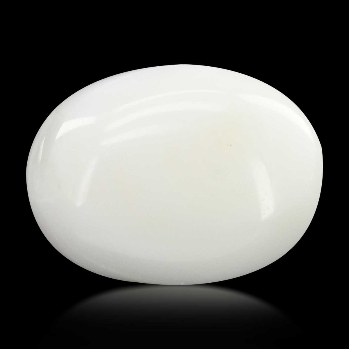 Japani White Coral 8.28 Carat